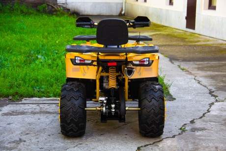 Квадроцикл Motoland 200 WILD TRACK X (2020) (15954965811572)