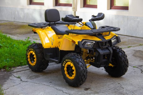 Квадроцикл Motoland 200 WILD TRACK X (2020) (15954965838329)