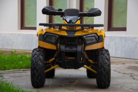 Квадроцикл Motoland 200 WILD TRACK X (2020) (15954965855299)