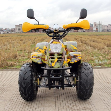Квадроцикл GreenCamel Gobi K600 (36V 800W R7 Цепной привод) (15949051150486)