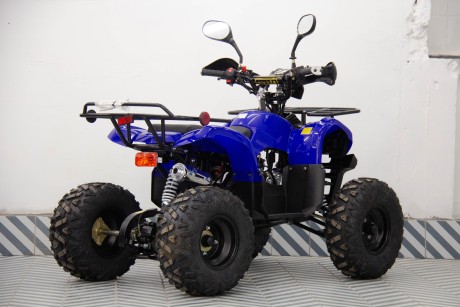 Квадроцикл Universal ATV 125 TM Classic (1629731352867)