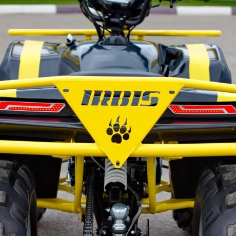 Квадроцикл IRBIS ATV125 NEW 2021 (16208067460492)