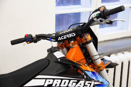 Мотоцикл эндуро PROGASI GAUDI 300 (16339601107992)