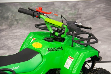 Квадроцикл Motoland SCORPION 50 (16408783883397)