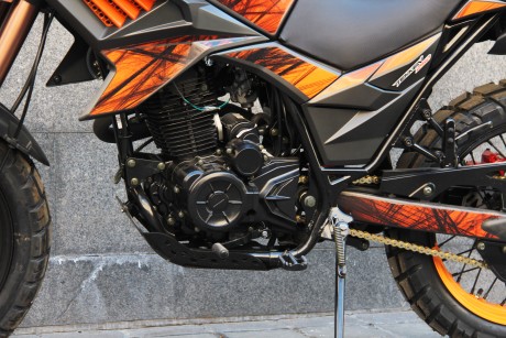 Мотоцикл Fuego Tekken 250 (16539146425582)