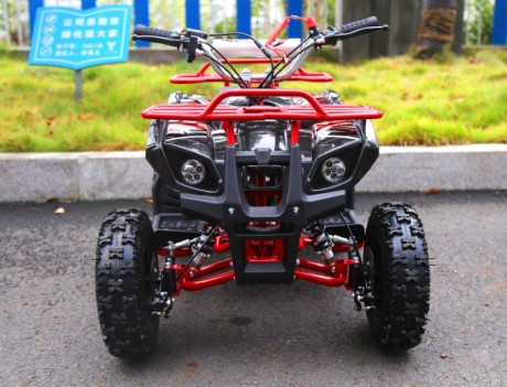Квадроцикл Motoland ATV 50 MINI