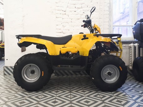 Квадроцикл IRBIS ATV200 NEW 2021 с ПСМ