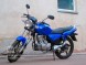 Мотоцикл STELS Delta 150 (14110298043017)