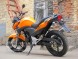 Мотоцикл Stels FLEX 250 (14110299965148)
