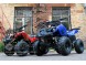 Квадроцикл Bison Spider 110 blue (14110416251109)