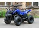 Квадроцикл Bison Spider 110 blue (14110416280118)