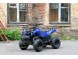 Квадроцикл Bison Spider 110 blue (1411041628278)