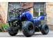 Квадроцикл Bison Spider 110 blue (14110416285459)