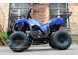 Квадроцикл Bison Spider 110 blue (14110416290539)