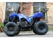 Квадроцикл Bison Spider 110 blue (14110416293291)