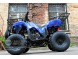 Квадроцикл Bison Spider 110 blue (14110416296024)
