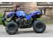Квадроцикл Bison Spider 110 blue (14110416301276)