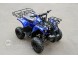 Квадроцикл Bison Spider 110 blue (14110416308758)