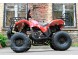 Квадроцикл Bison Spider 110 red (14110416911461)