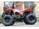 Квадроцикл Bison Spider 110 red (14110416914022)
