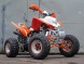 Квадроцикл IRBIS ATV250S (15495438331773)