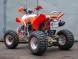 Квадроцикл IRBIS ATV250S (15495438352316)