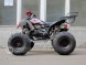 Квадроцикл Bison Raptor 150 Sport (14110425461633)