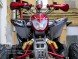 Квадроцикл Bison Raptor 150 Sport (14110425468115)