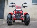 Квадроцикл Bison 50 Sport (14110427101261)