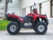Квадроцикл ArmadA ATV 200L (14957059463285)