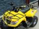 Квадроцикл Bison Mini 110 (14135614120485)