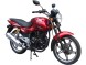 Мотоцикл RACER RC250-C5B MAGNUM (14389536892249)