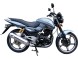 Мотоцикл RACER RC250-C5B MAGNUM (14389536906451)