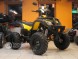 Квадроцикл Bison ATV 200сс CM (14248042139505)