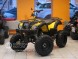 Квадроцикл Bison ATV 200сс CM (14248042188504)