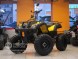 Квадроцикл Bison ATV 200сс CM (14248042205365)