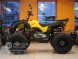 Квадроцикл Bison ATV 200сс CM (14248042464074)