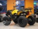 Квадроцикл Bison ATV 200сс CM (14248042527869)