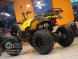 Квадроцикл Bison ATV 200сс CM (14248042556349)