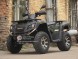 Квадроцикл Wels ATV 300 (14345680488557)