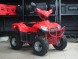 Квадроцикл BISON ATV 125-23 (14404427350182)