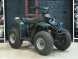 Квадроцикл ATV Kazuma Lacosta 110 (14461347147342)