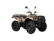 Квадроцикл Baltmotors ATV 400 EFI (14478345671316)