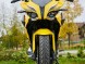 Мотоцикл BAJAJ Pulsar RS 200 (14506902438345)