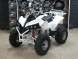 Квадроцикл Bison ATV A-55 125 cc 8" (14540926267395)