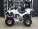 Квадроцикл Bison ATV A-55 125 cc 8" (14540926290874)