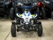 Квадроцикл Bison Mini Sport 2T MX (14679923374131)