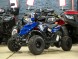 Квадроцикл Bison Electro ATV 500 MX (14679860536587)