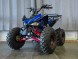 Квадроцикл Bison 1000 Electro sport (14915546137273)