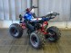 Квадроцикл Bison 1000 Electro sport (14915546271775)